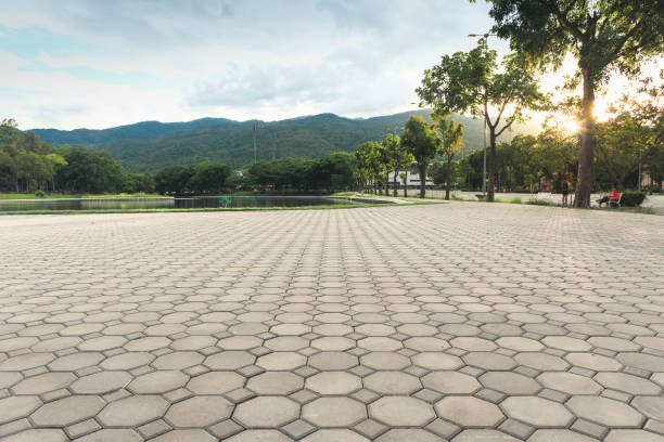 Best Commercial Driveway Pavers  in Preston, TX